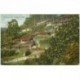 carte postale ancienne INDE. Darjeeling native Village of tea