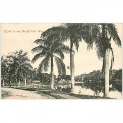 carte postale ancienne INDE. Royal Palm's Kandy lake side