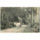 carte postale ancienne SRI LANKA. Ceylan Ceylon. Bulloch carts 1908