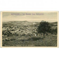 carte postale ancienne ISRAEL PALESTINE. Bethlehem. Le Champ des Bergers