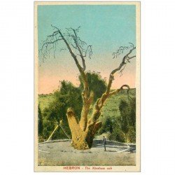 carte postale ancienne ISRAEL PALESTINE. Hebron the Abraham oak 1928
