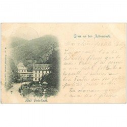 ALLEMAGNE. Bad Sulzbach. Gruss aus dem Schwarzwald 1908