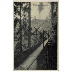 carte postale ancienne ALLEMAGNE. Gera. Marienbrücke im Stadtwald