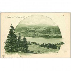 carte postale ancienne ALLEMAGNE. Titisee im Schwarzwald vers 1900...
