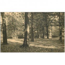 carte postale ancienne MARIEMONT. Domaine Parc Sous Bois