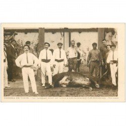 carte postale ancienne ESPAGNE. Corrida de Toros. Le Taureau mort est livré a los Carniceros. les Bouchers