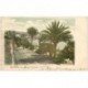 carte postale ancienne ITALIA. San Remo. Corso dell Imperatrice 1902