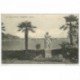 carte postale ancienne MADERNO. Il Golfo Lago di Garda 1918