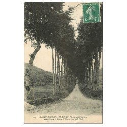 carte postale ancienne 14 SAINT-PIERRE-EN-PORT. Arrivée Route d'Eletot 1909