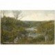 carte postale ancienne JERSEY. Waterworks Valley