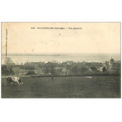 carte postale ancienne 14 SALLENELLES. Vaches au Pré 1906