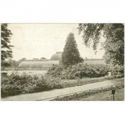 carte postale ancienne LONDON LONDRES. Palm House and Pond Kew Gardens