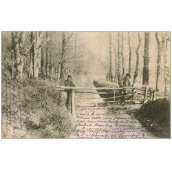 carte postale ancienne 14 TREVIERES. Personnages sur Petit Pont de l'Aure Inférieure 1903