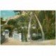 carte postale ancienne GIBRALTAR. Whale jaws arch. Bridge