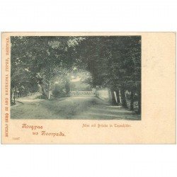 carte postale ancienne YOUGOSLAVIE. Allee mit Brücke in Topschider 1901