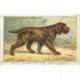 carte postale ancienne ANIMAUX. Chien. Griffon Boulet. Chiens Gibier et Ennemis