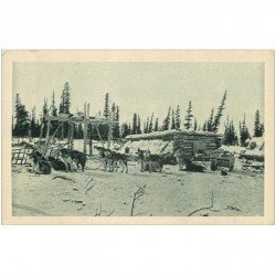 carte postale ancienne ANIMAUX. Chiens de traineau en voyage sur le Cercle Arctique. Alaska