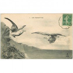 carte postale ancienne ANIMAUX. Oiseaux. Les Mouettes 1923. Fine cassure sous le timbre...