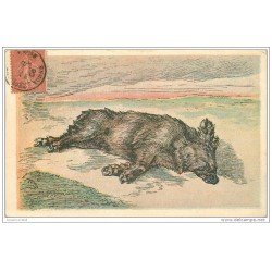 carte postale ancienne ANIMAUX. Un Sanglier après la Chasse 1908. Quelques textes cachés dans le bas décor...