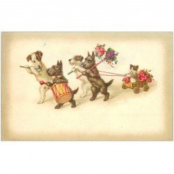 carte postale ancienne CHIENS. Parade musicale avec Chat