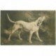 carte postale ancienne LES CHIENS. Chien de Chasse