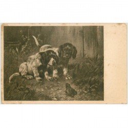 carte postale ancienne LES CHIENS. Chiots et Grenouille