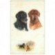 carte postale ancienne LES CHIENS. De Chasse par Oilette pour Port Saïd 1932