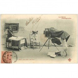 carte postale ancienne LES CHIENS. Le Chien Photographe 1904
