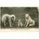 carte postale ancienne LES CHIENS. Père, Mère et Fils Chiens des Pyrénées