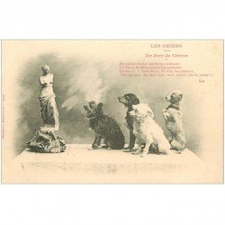 carte postale ancienne LES CHIENS. Un Jury vers 1900 par Bergeret