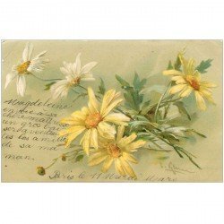 carte postale ancienne FLEURS. Bouquet de Marguerites pour Saumur 1902