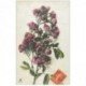carte postale ancienne FLEURS. Bouquet de Pivoines de Paris 1911