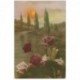 carte postale ancienne FLEURS. Bouquet de Roses 1917 pour Millau