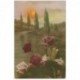 carte postale ancienne FLEURS. Bouquet de Roses 1917 pour Millau