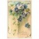 carte postale ancienne FLEURS. Bouquet de Violettes pour Boulogne 1907