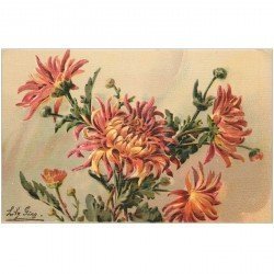 carte postale ancienne FLEURS. Illustrateur Lily Giry carte toilée n° 98 Etoile de Feu