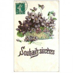 carte postale ancienne FLEURS. Jardinière de Violettes pour Boulogne 1909