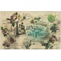 carte postale ancienne FLEURS. Le langage des Fleurs