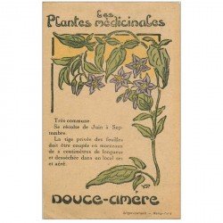 carte postale ancienne FLEURS. Plantes médicinales. Douce Amère