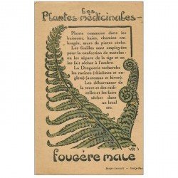 carte postale ancienne FLEURS. Plantes médicinales. Fougère male
