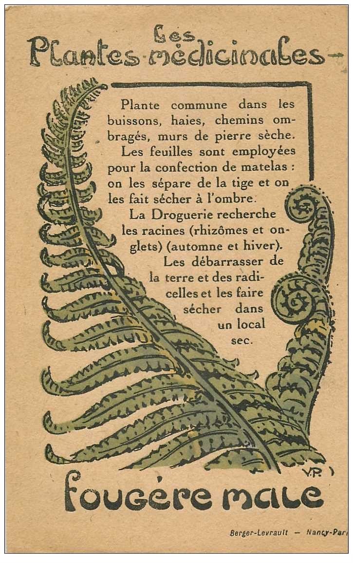 carte postale ancienne FLEURS. Plantes médicinales. Fougère male
