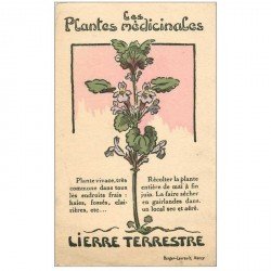 carte postale ancienne FLEURS. Plantes médicinales. Lierre terrestre