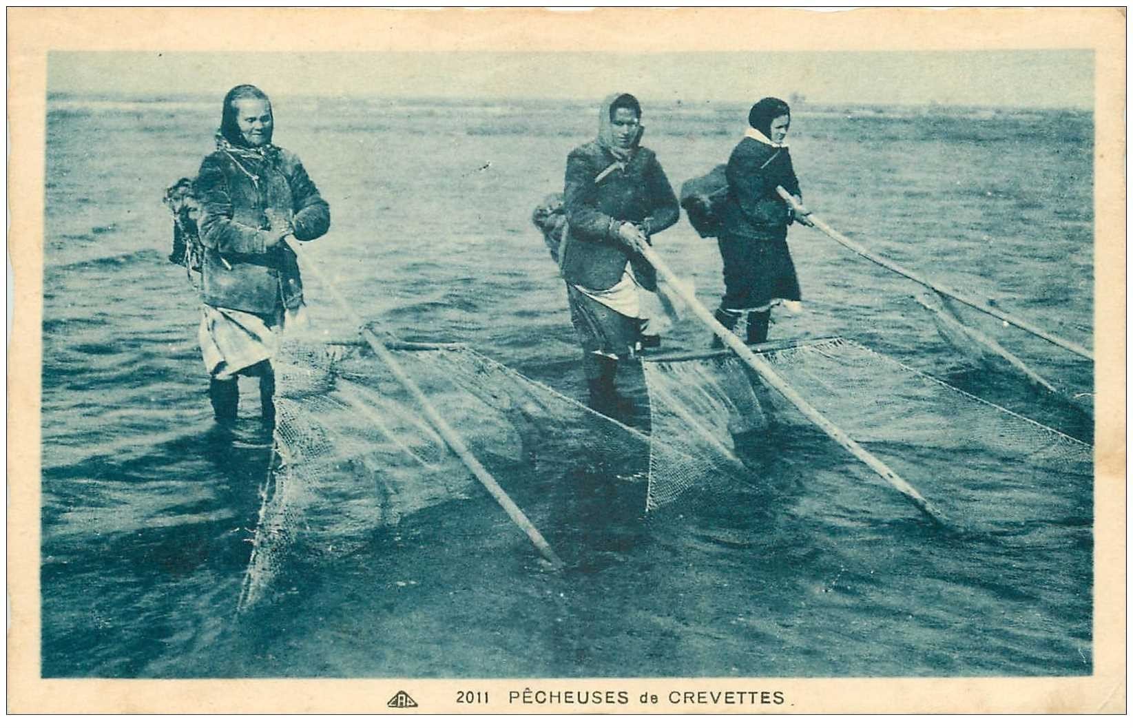 carte postale ancienne METIERS DE LA MER. Pêcheuses de Crevettes 1946. Crustacés et Poissons