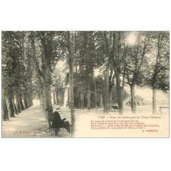 carte postale ancienne 14 VIRE. Ombrages du Château 1915