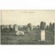 Dolmens et Menhirs 56 CARNAC. Les Alignements