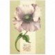 carte postale ancienne NOEL. Bonne Fête. Fleurs 1905 gaufrée