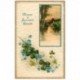 carte postale ancienne NOUVEL AN. Bonne Année carte gaufrée Promenade en Campagne 1907 avec Houx et Gui