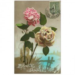 carte postale ancienne NOUVEL AN. Bonne Année Oeillet et rose 1922 édition Eliane