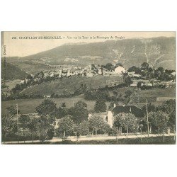 carte postale ancienne 01 Chatillon-de-Michaille. Tour et Montagne du Sorgiat