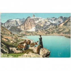 Suisse. Lac du Grand Saint Bernard avec Curé et Chiens 1912 sans timbre